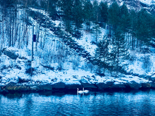 Winter's embrace: nurturing the soul in Norway's Cozy Heaven